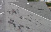 Wind Damage Pic 1